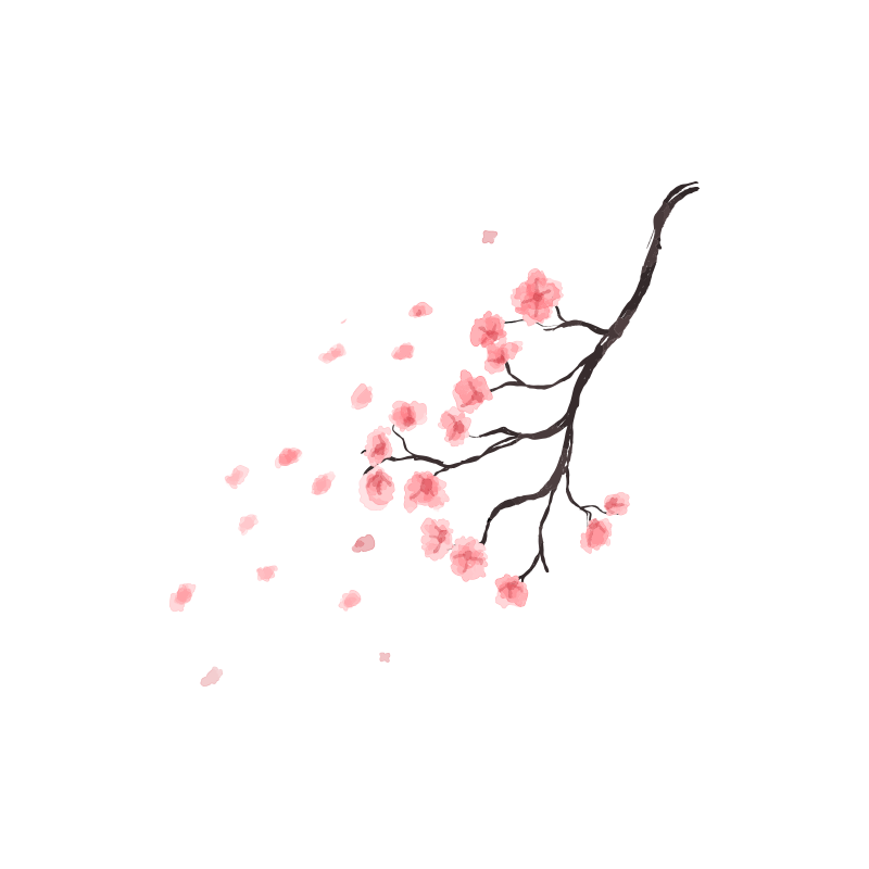 branch 5 (1) - Beauty Base